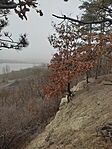 IMG_20250118_111752
