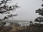 IMG_20250118_111738