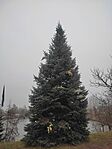 IMG_20250118_123355