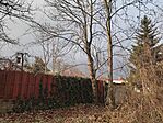 IMG_20250125_123521
