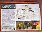 IMG_20250125_123649