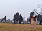 IMG_20250125_081928