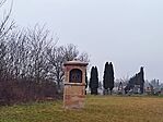 IMG_20250125_081930
