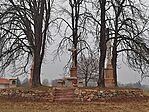 IMG_20250125_081938