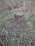 IMG_20250125_162749