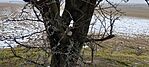 IMG_20250119_122112