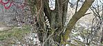 IMG_20250119_122126