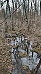IMG_20250107_145844
