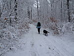 DSC09904