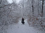 DSC09908