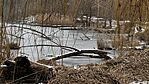 IMG_1111