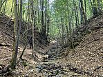 IMG_7687