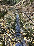 IMG_7689