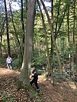 IMG_7693