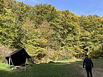 IMG_7698