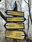 IMG_8721(1)