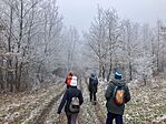 IMG_8725(1)