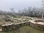 IMG_8734(1)