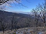 IMG_8753(1)