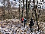 IMG_8756(1)