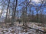 IMG_8757(1)