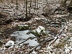IMG_8759(1)