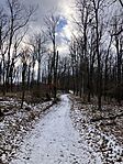 IMG_8762(1)