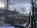 IMG_8763(1)