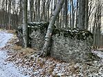 IMG_8764(1)