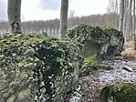 IMG_8765(1)
