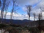 IMG_8770(1)