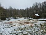 20250118_094344