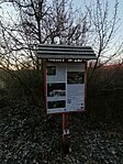 IMG_20250104_074251