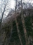 IMG_20250104_161741