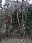 IMG_20250104_161718