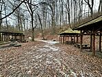 IMG_5330