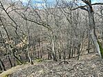 IMG_5355