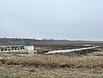 IMG_5372