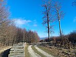 IMG_20250114_105453.jpg