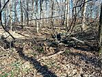 IMG_20250130_125629.jpg