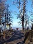 IMG_20250130_132006.jpg