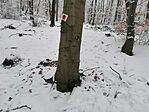 IMG_20250120_110019