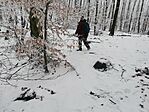 IMG_20250120_110045