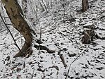 IMG_20250121_131216