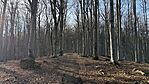 IMG_1186