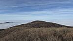 IMG_1190