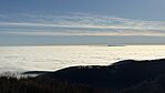 IMG_1194