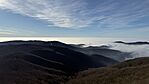 IMG_1195