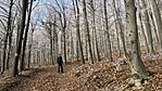 IMG_0714