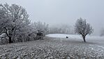 IMG_1176